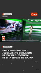 La crianza de búfalos ya dejó de ser una curiosidad en el país para convertirse en una apuesta ganadera en expansión.