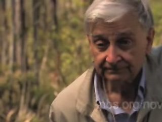NOVA | Lord of the Ants | The Ant Whisperer | PBS