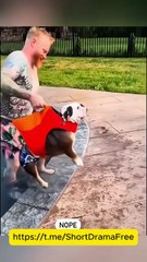 Pregnant As the Boss's Secret Wife #Dramabox