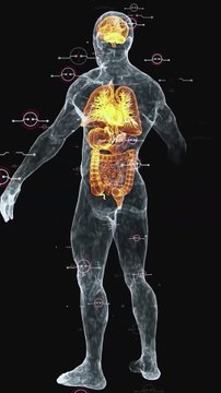 Humans are star dust Fact science by Umesh ambady