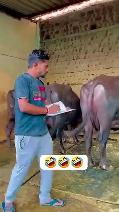 How to cow for videos