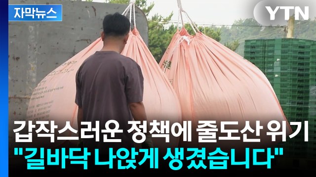[자막뉴스] 미친 듯 뛰어오른 가격...'오락가락' 행정에 영세업체는 피눈물 / YTN