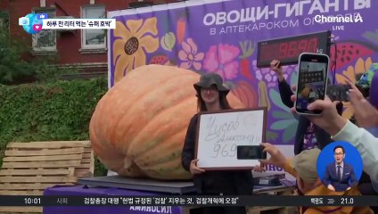 [앉아서 세계 속으로]러 초대형 채소 경연대회서 ‘969kg’ 호박 우승