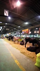 Estuvimo en el sector que más atrae de la EXPOCRUZ 2025