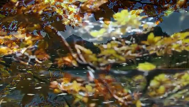 Sturm der Liebe 4464 Folge