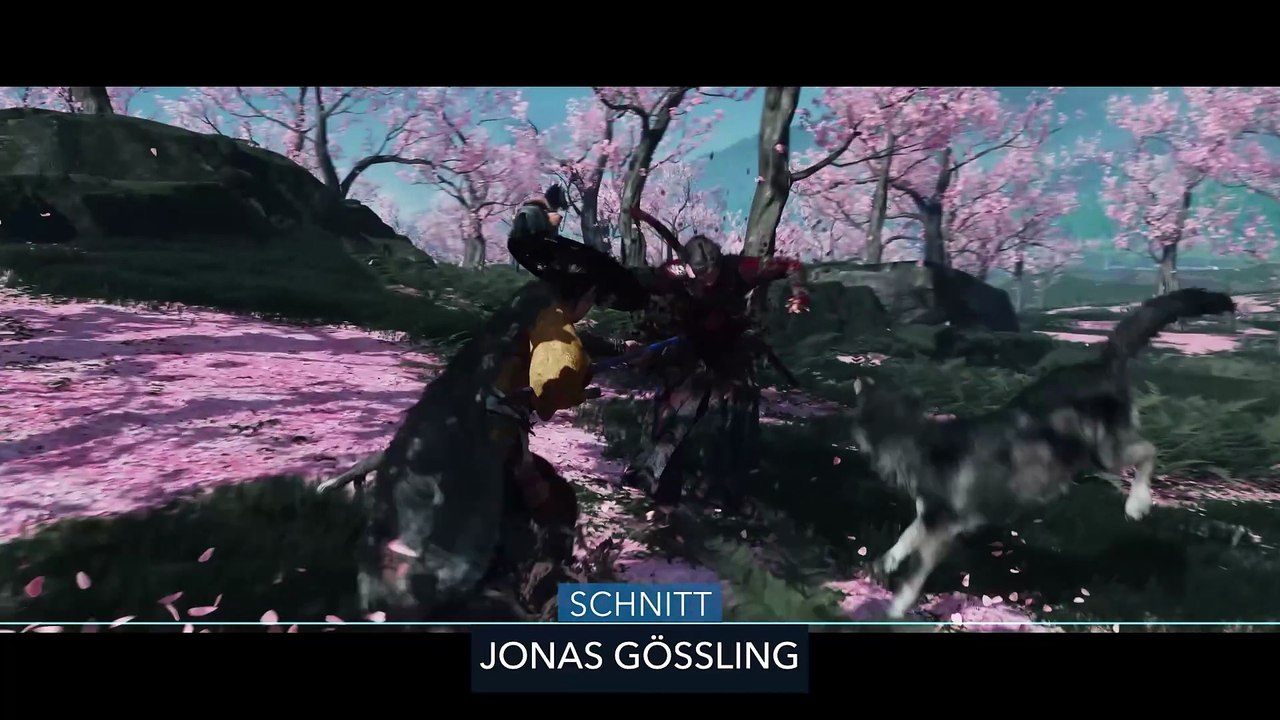 Noch ein Testvideo für KI-generierte Kapitel