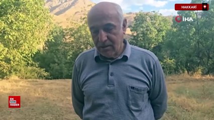 Hakkari'nin Cevizli köyünde ağaçlar kurudu, tarlalar susuz kaldı