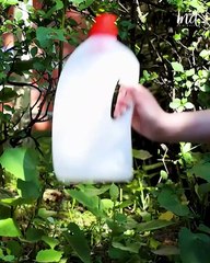 Useful garden hack you didn't know you needed!