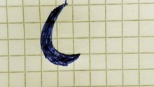Disegno 26