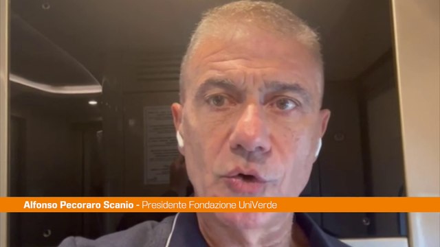 Ponte sullo Stretto, Pecoraro Scanio: “Salvini ritiri il progetto