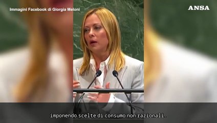 Meloni contro i "green deal" occidentali: "Ecologismo insostenibile"