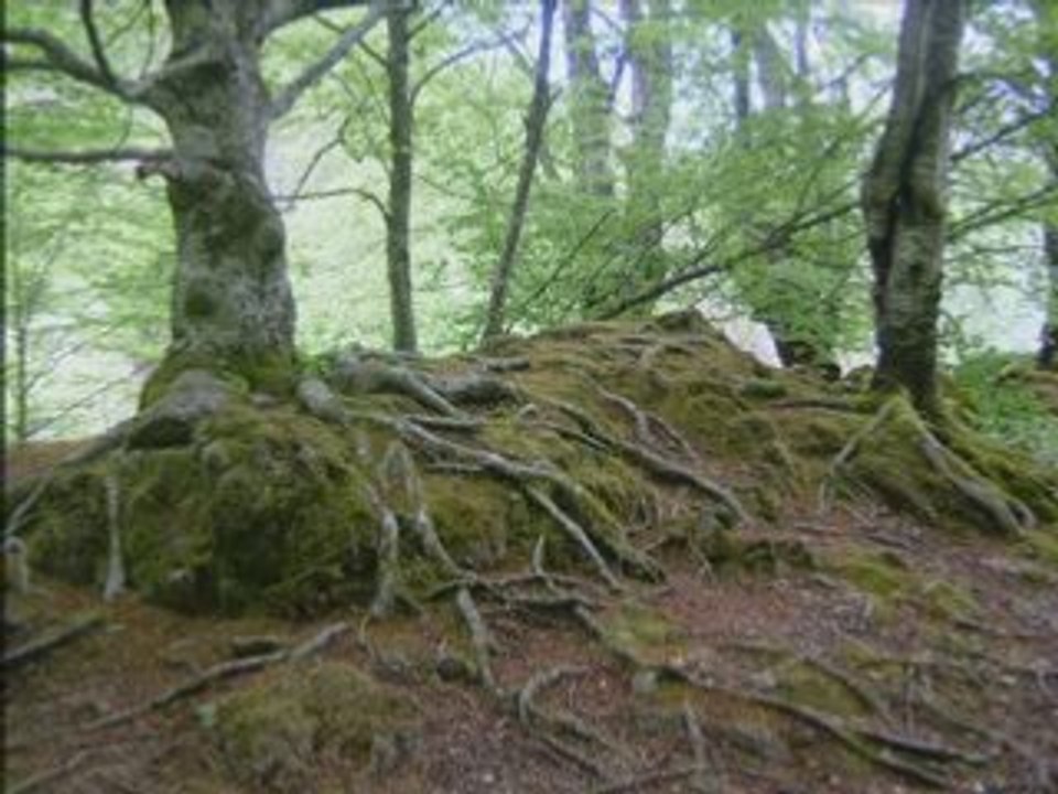 Vallée de Bethmale