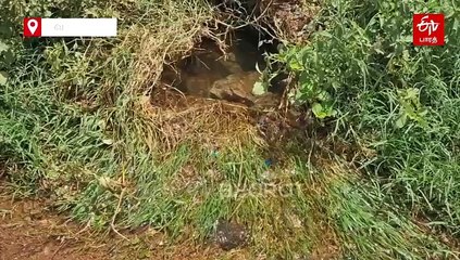 வைகை கூட்டுக் குடிநீர் குழாயில் உடைப்பு.. 10 நாளாக சாலையில் ஓடும் தண்ணீர்!