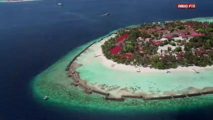 Conny Winter & Marcus - Alice Weidel auf Fahrt