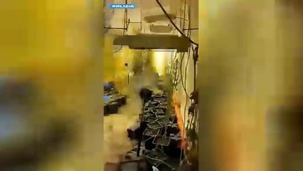 Palermo, scoperta una serra indoor in corso Tukory: sequestrati 20 chili di marijuana