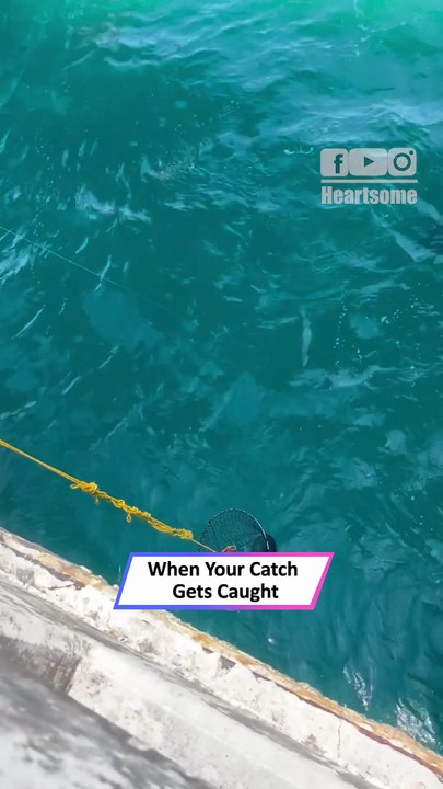 Fishermen vs Shark: Epic Battle to Reel in the Catch Caught on Camera