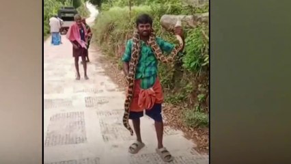 മലമ്പാമ്പിനെ കഴുത്തിലിട്ട് യുവാവിന്റെ അഭ്യാസം; ദൃശ്യങ്ങൾ പുറത്ത്...