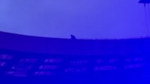 'Best Seat in the House!' - Daring guy spotted on stadium rooftop during Oasis concert