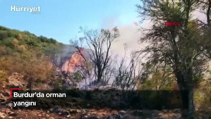 Burdur'da orman yangını