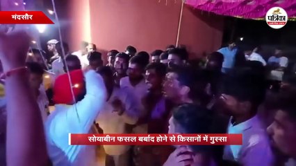 सोयाबीन फसल बर्बाद होने से किसानों में गुस्सा