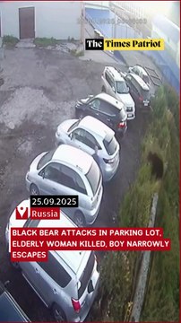 Russia: Black Bear Attacks in Parking Lot, Elderly Woman Killed, Boy Narrowly Escapes