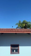 Mercado se desculpa com moradores após voo rasante de helicóptero em Joinville; VÍDEO