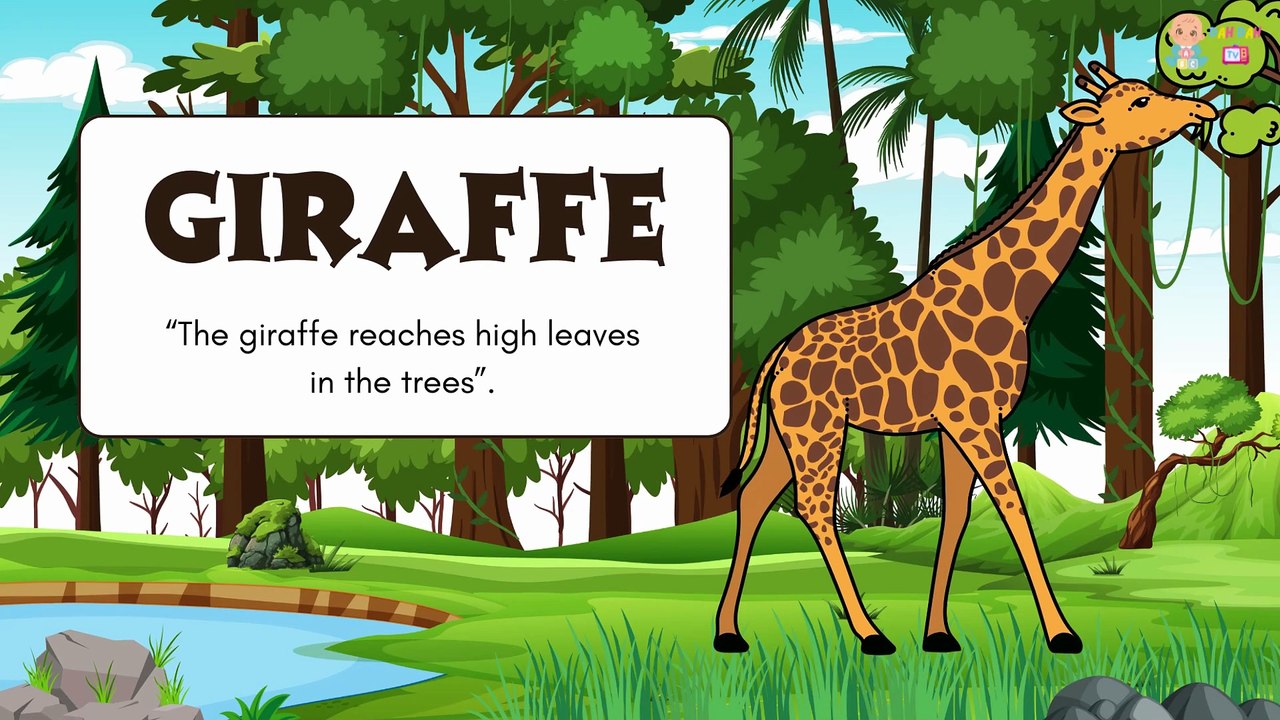 🐒🌿 Learn About Animals! 🦁 Fun Jungle Animal Song & Wildlife Learning Video for Kids & Toddlers |Education Videos | Preschool Learning |