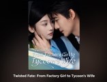 Twisted Fate - From Factory Girl to Tycoon's Wife