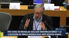Vox exige en Bruselas agilizar indemnizaciones y la ejecución de obras hidráulicas ante nuevas DANAS