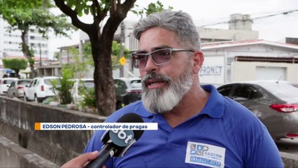 Crescimento da Criminalidade: Furto de Motos na Região Metropolitana - Um Estudo de Caso na Cidade Universitária