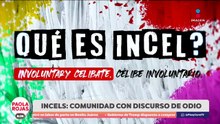 Resurgen grupos “Incels” tras asesinato en CCH Sur  | DPC con Paola Rojas