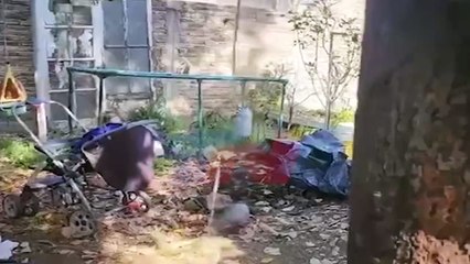 La casa del horror: Lugar donde se dio el triple femicidio quedó sin custodia y fue saqueado (Video)