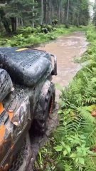 Aventure 4x4 Extrême 🚙 Tout-Terrain en Forêt Boueuse – Expérience #Shorts France & Canada