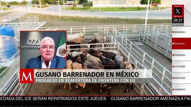 Caso de gusano barrenador en NL no afectaría reapertura de frontera para ganado mexicano