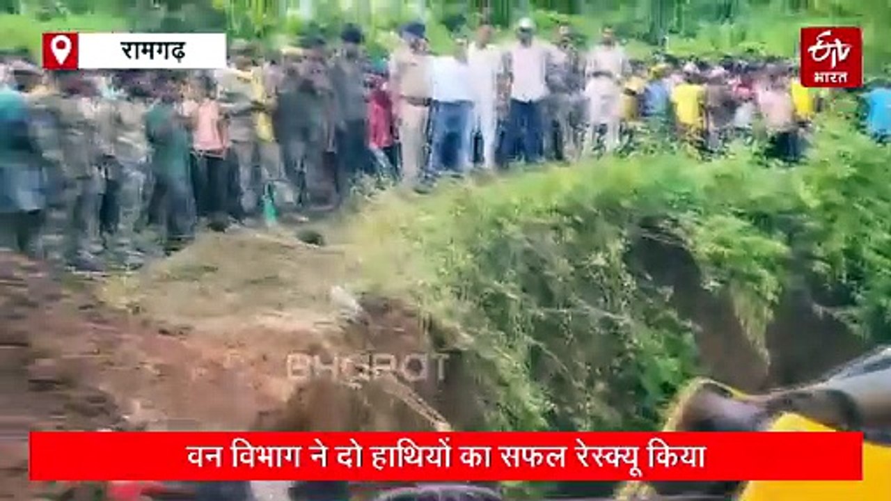 रामगढ़ में वन विभाग ने दो हाथियों का सफल रेस्क्यू किया, 25 फीट गहरे कुएं में गिर गए थे दोनों