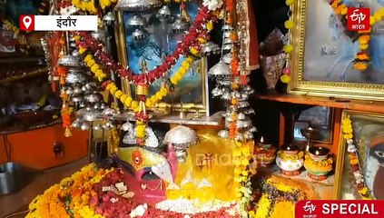 आम के पेड़ पर भरपूर नारियल, अद्भुत नजारा देखते ही घूम जाएगा आपका सिर