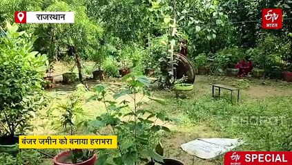 इंजीनियरिंग जॉब छोड़ पर्यावरण संरक्षण की पकड़ी राह, पथरीली जमीन की बदली तस्वीर