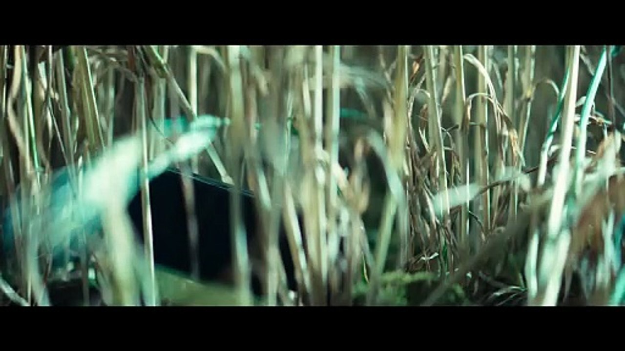 Rapaces (2025) - Bande annonce