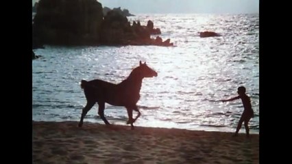 L'étalon noir (1979) - Bande annonce