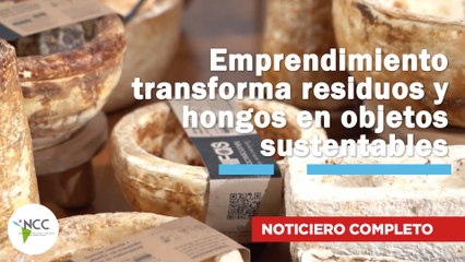 Emprendimiento transforma residuos y hongos en objetos sustentables | 798 | 29/09/25 al 05 /10/25