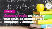 Estudio revela un instinto matemático común entre humanos y animales
