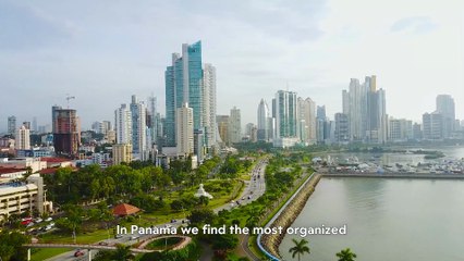 Panamá Pacífico | El espacio para liberar tu potencial