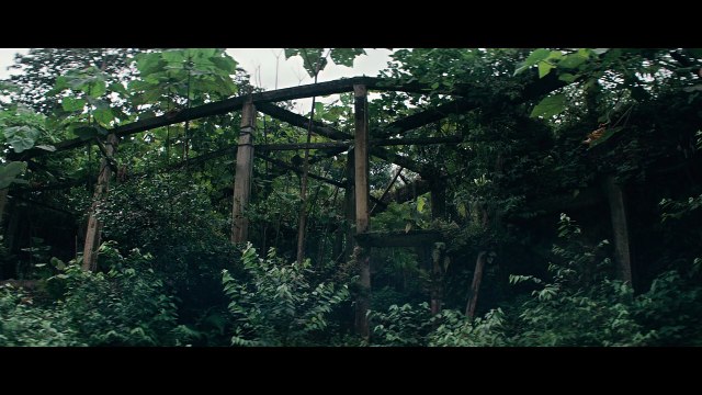 J'ai vu trois lumières noires (2024) - Bande annonce