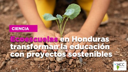 Ecoescuelas en Honduras transforman la educación con proyectos sostenibles