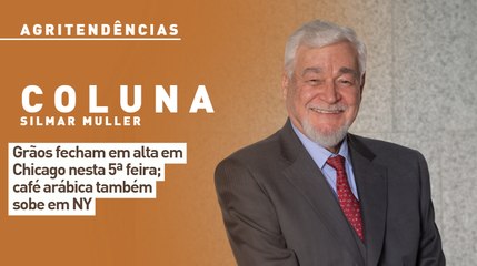 Grãos fecham em alta em Chicago nesta 5ª feira; café arábica também sobe em NY