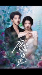 夜莺与玫瑰第66集：陈名豪 & 何田田精彩演绎🎬