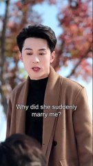 The Proposal That Won Her Heart Full Chinese Drama - English Sub