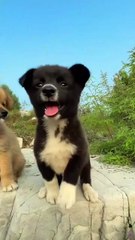 Stylish sisters  . A beautiful moment #99