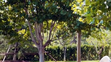 Loves Ambition Episode 1 | English Subtitles 🎬