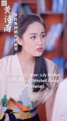 The Secretary's Secret Chinese Drama - English Sub